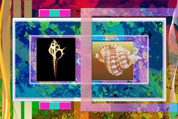 Image #2 of 9: 